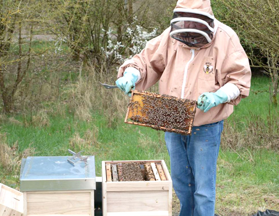 PROJEKT 2028 / Hektar Nektar and QVC Germany Bee Protection Movement - photo of bee worker